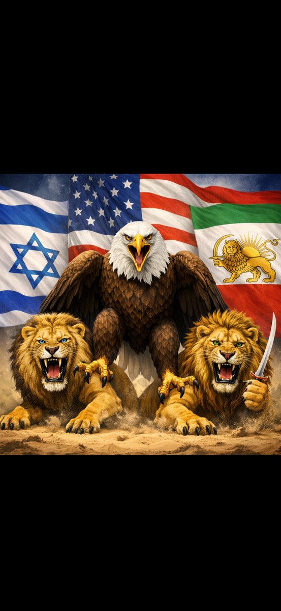 Reding Roy tweet media