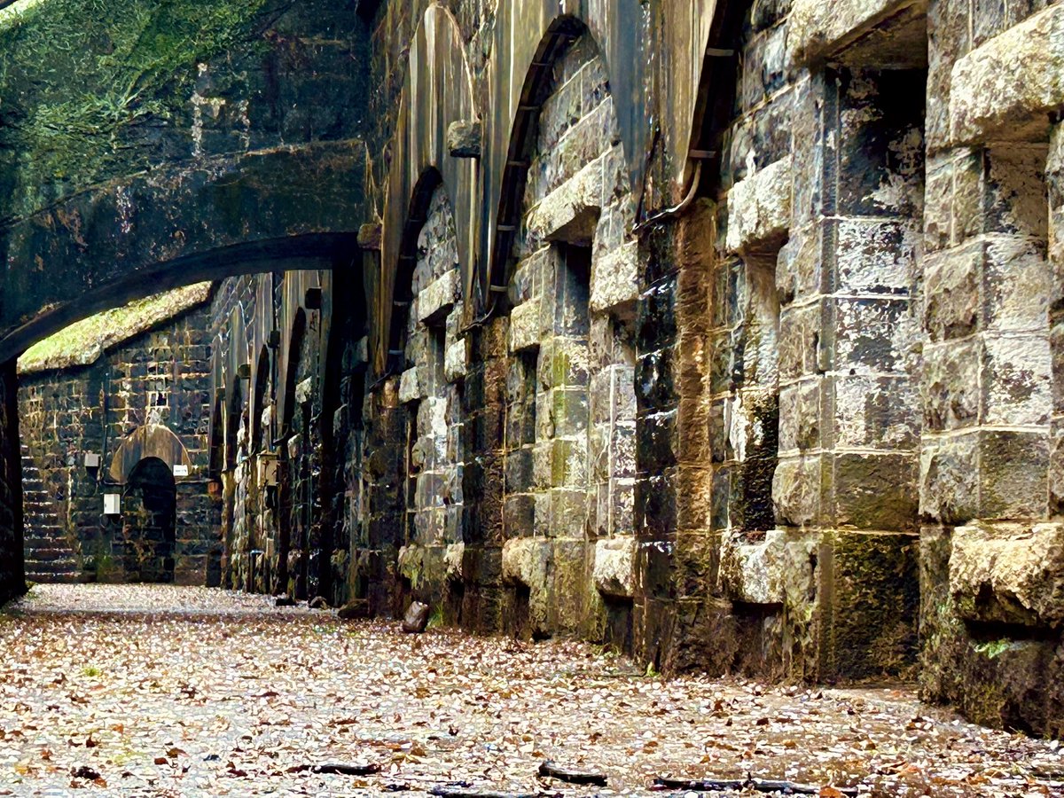 23(にーさん)の冒険記 tweet media