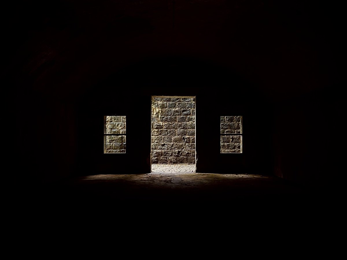 23(にーさん)の冒険記 tweet media