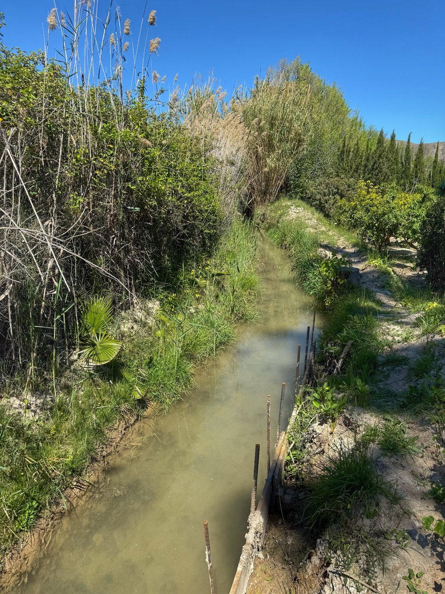 JM Marin-Blázquez Peces tweet media