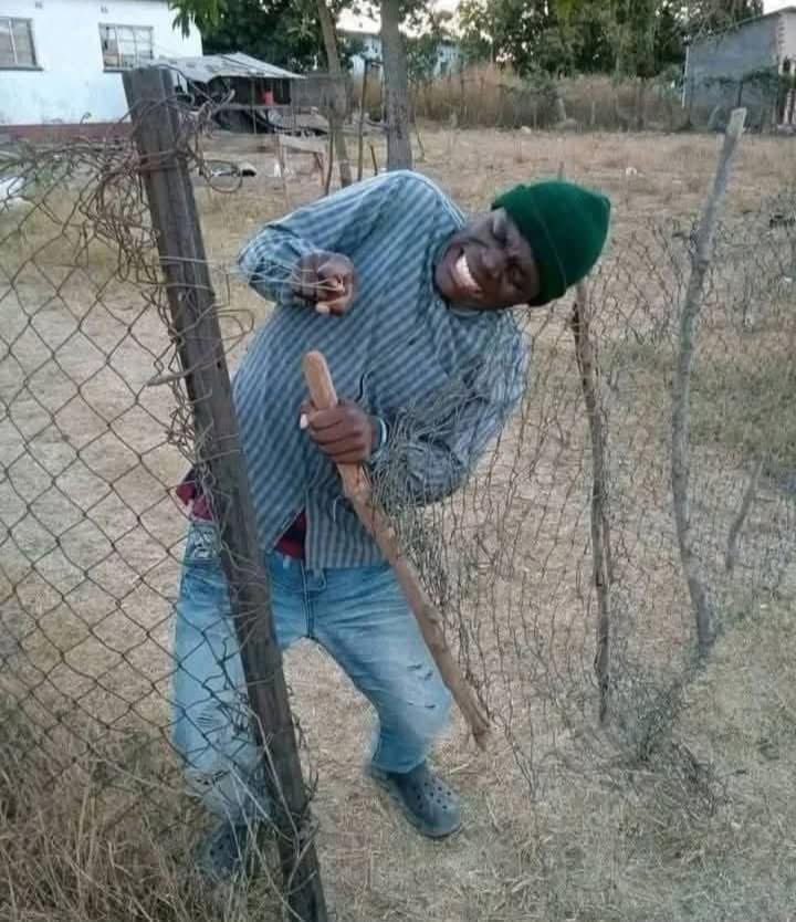 Nare Moabelo tweet media