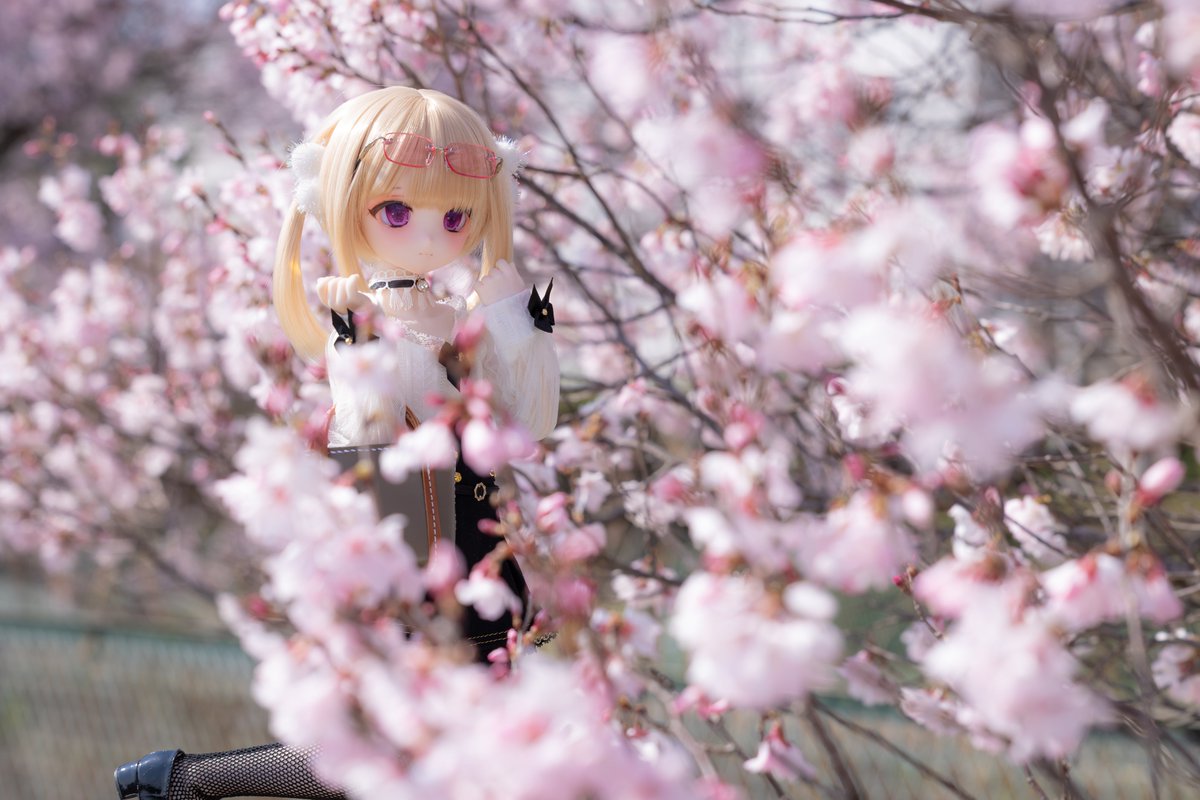 ツッシー@ドール館 tweet media