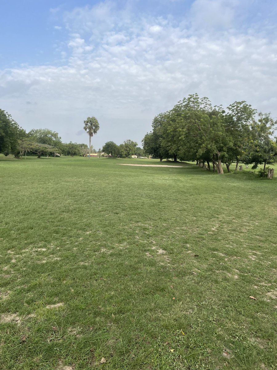 Osaretin Victor Asemota tweet media