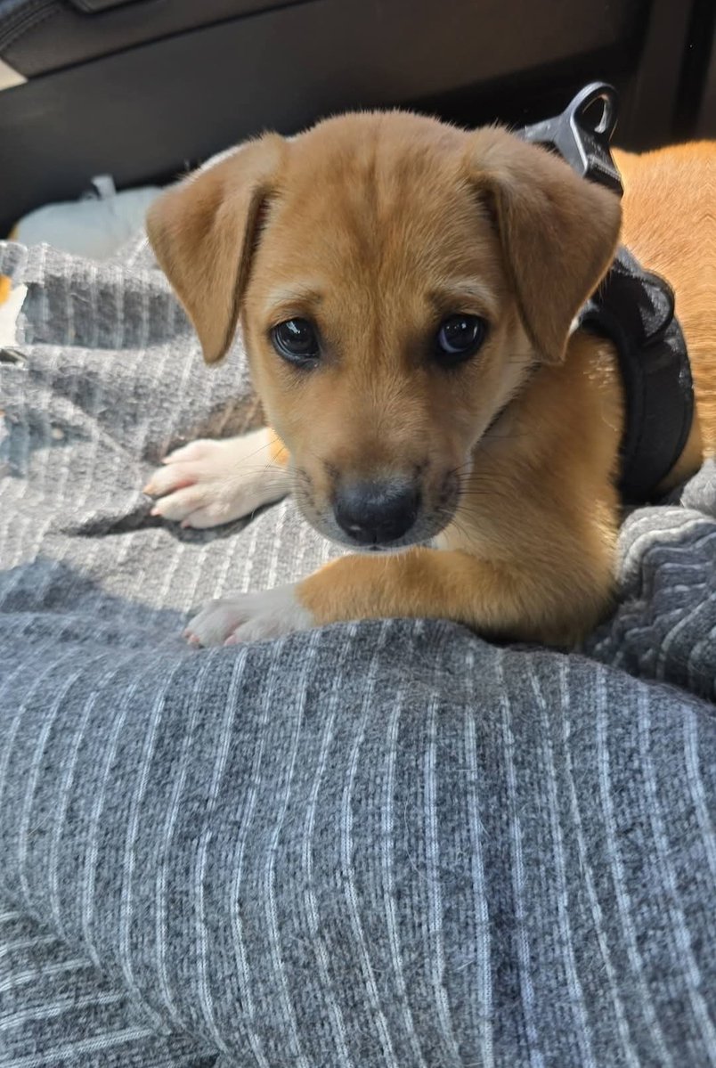 Claire Hopkin 🏴󠁧󠁢󠁷󠁬󠁳󠁿 tweet media