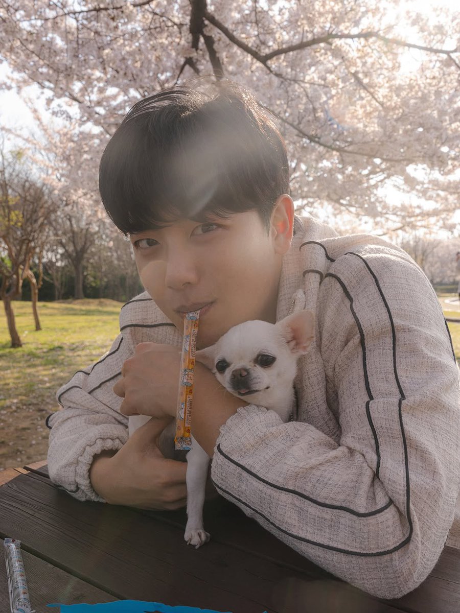 joochstar's tweet image. Jibeom X Markethatdam🌸 

Jibeom who became the official model for Picnic Hatdam with Jibeom❤
The snacks Jibeom ate on his picnic can be found in Hatdam☀

I hope you have a warm and happy spring day💙 
#MarketHotdam #Snack #PiknicSnack #Jibeom