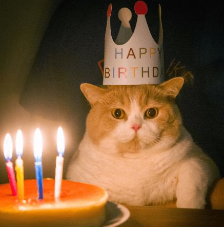 ️️ ️️ ️️ ️️ tweet media