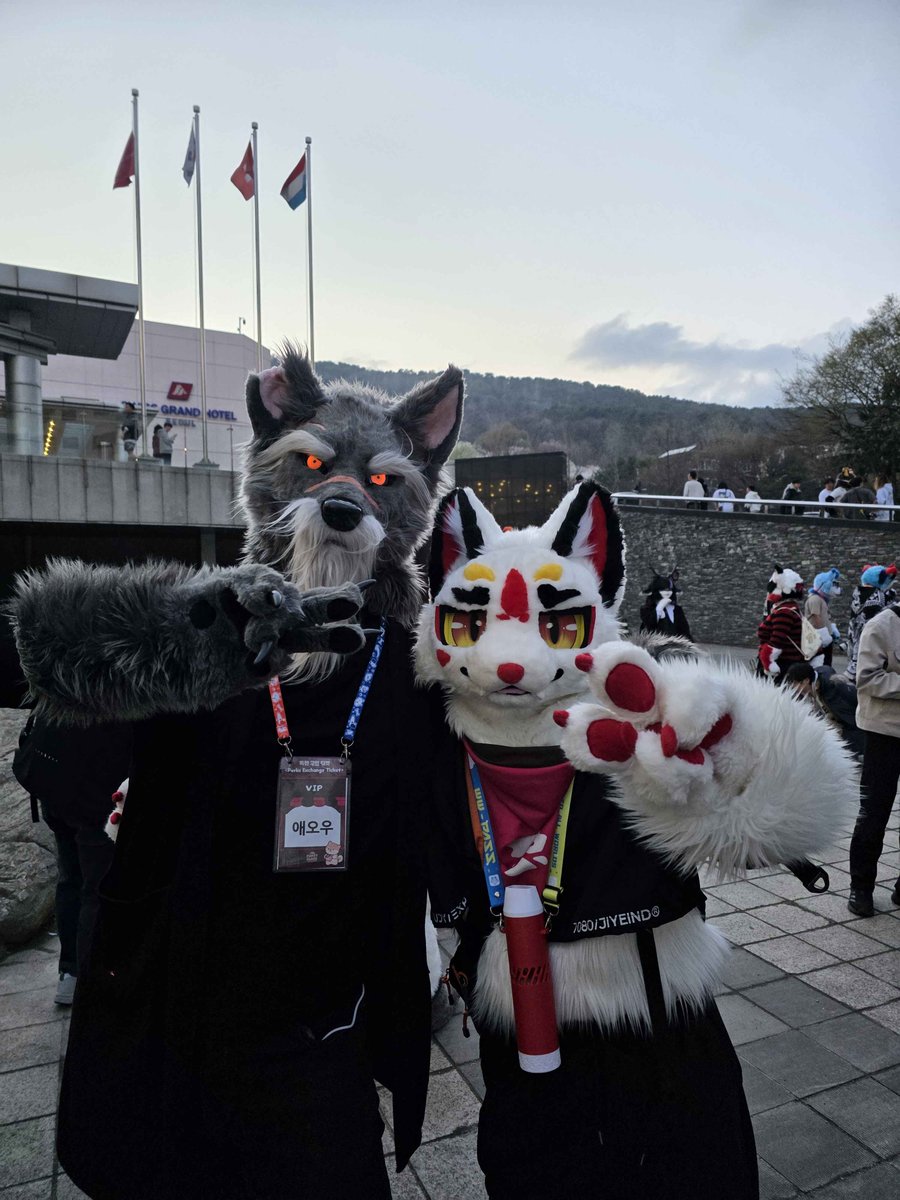 애오우 / 테리오(Terrio) tweet media