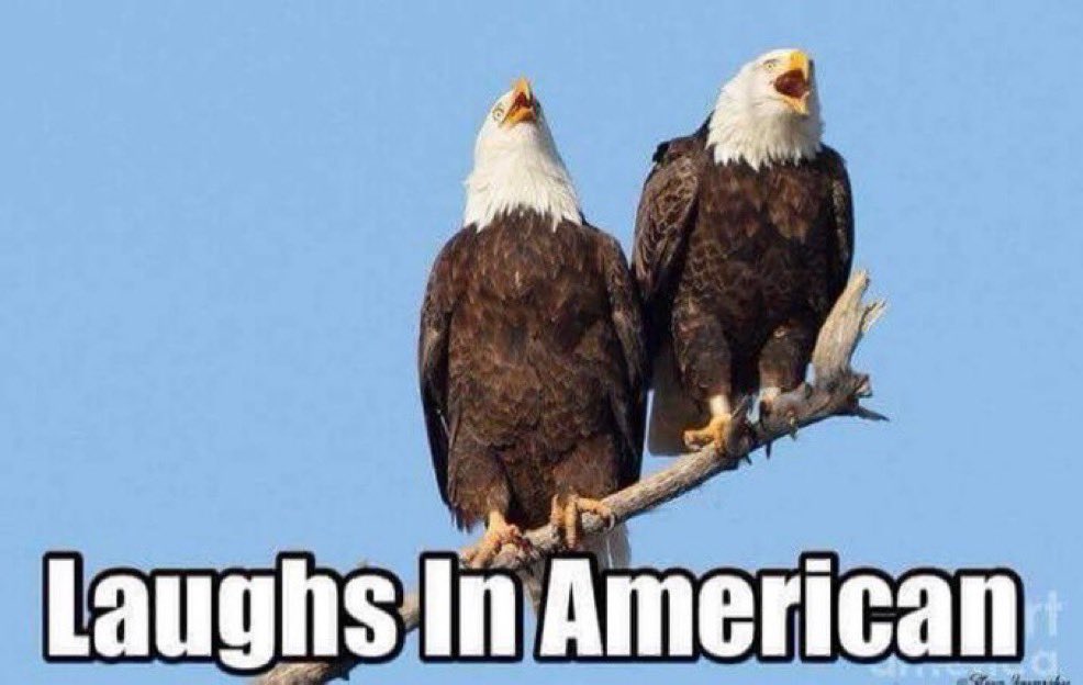 DoughBoy tweet media