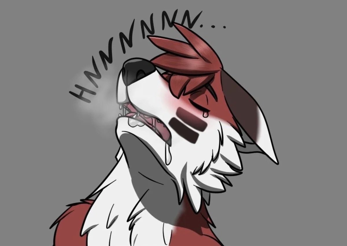 Actually Tristitia tweet media