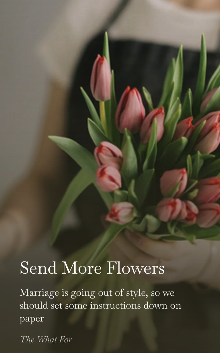 Brad Todd tweet media