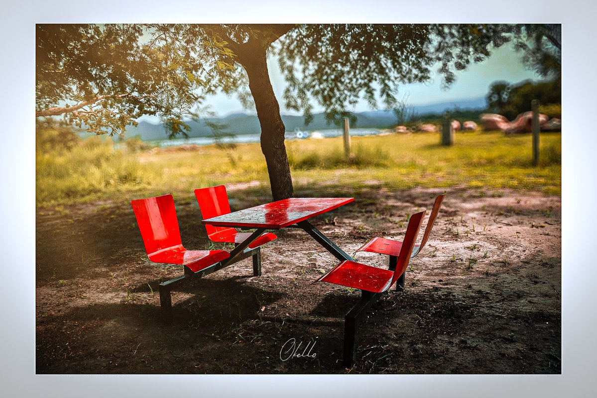 _OKELLO_ tweet media