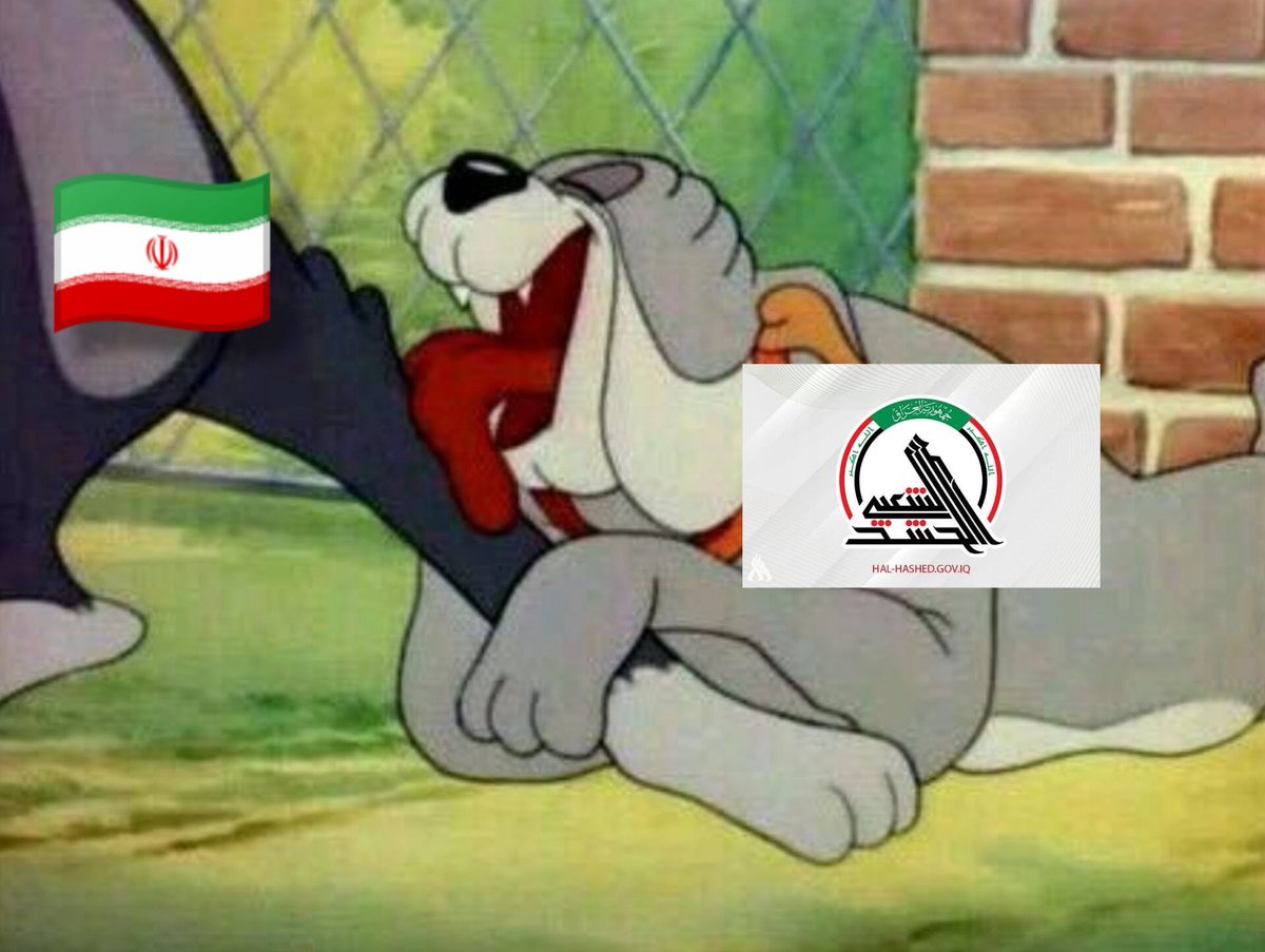 🇰🇼كويتي وافتخر🇰🇼 tweet media