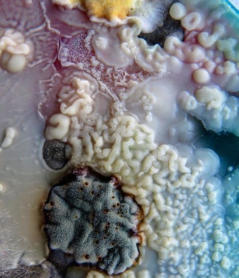 Notapiggyanymore tweet media