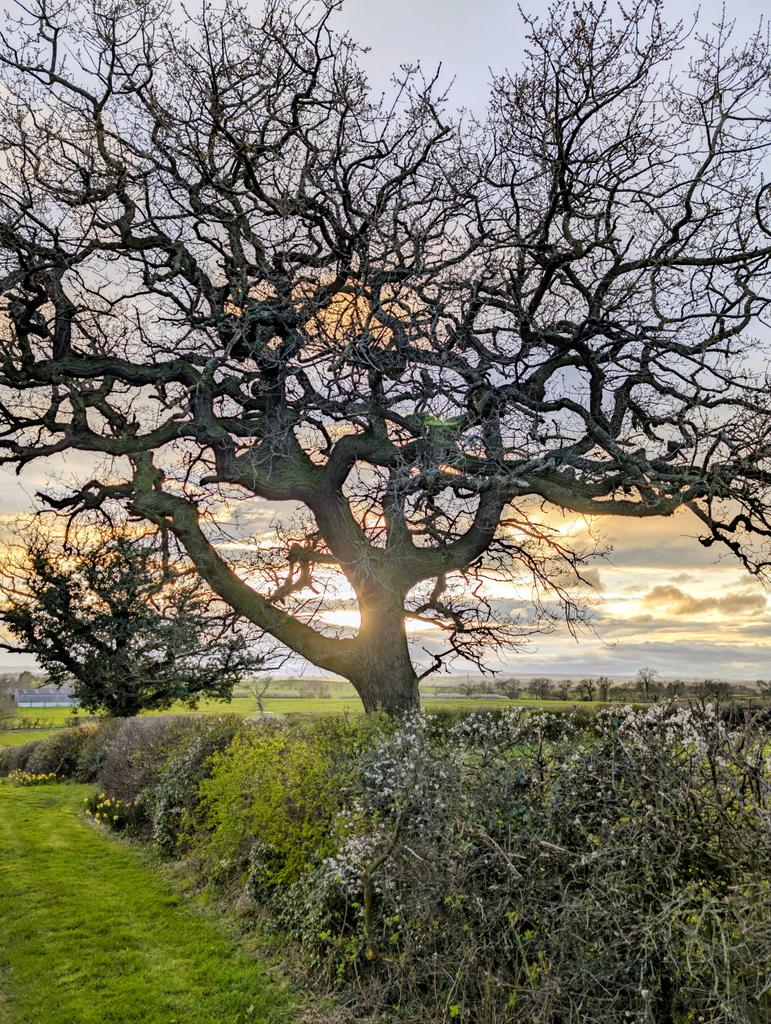 Papadopoli60571's tweet image. #sunset