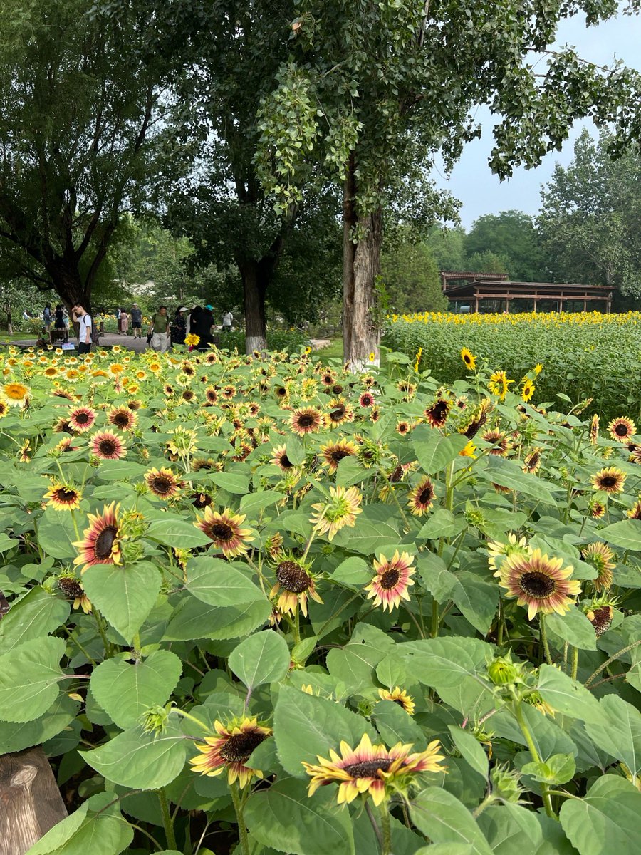 arche legaspi tweet media