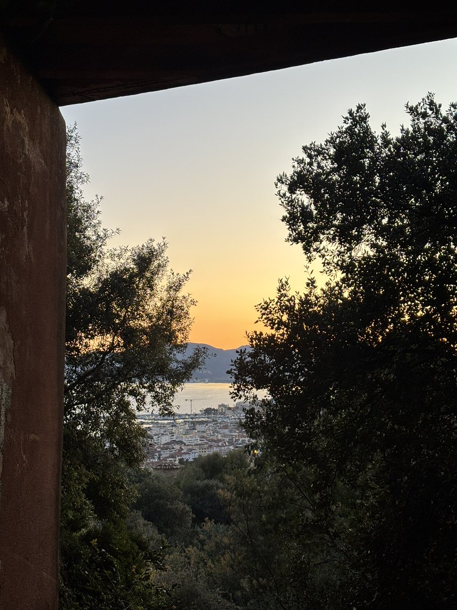 M3anless tweet media