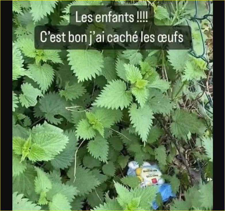 Big Bang Science tweet media