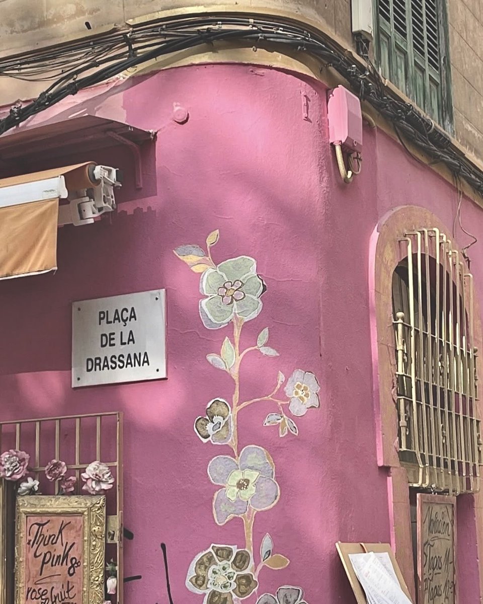 p˚୨୧⋆。🐈˚ ⋆ tweet media