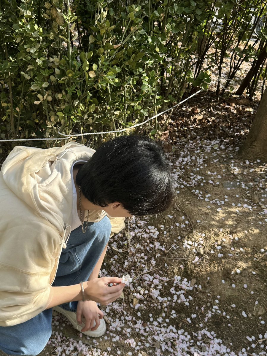 강아 tweet media