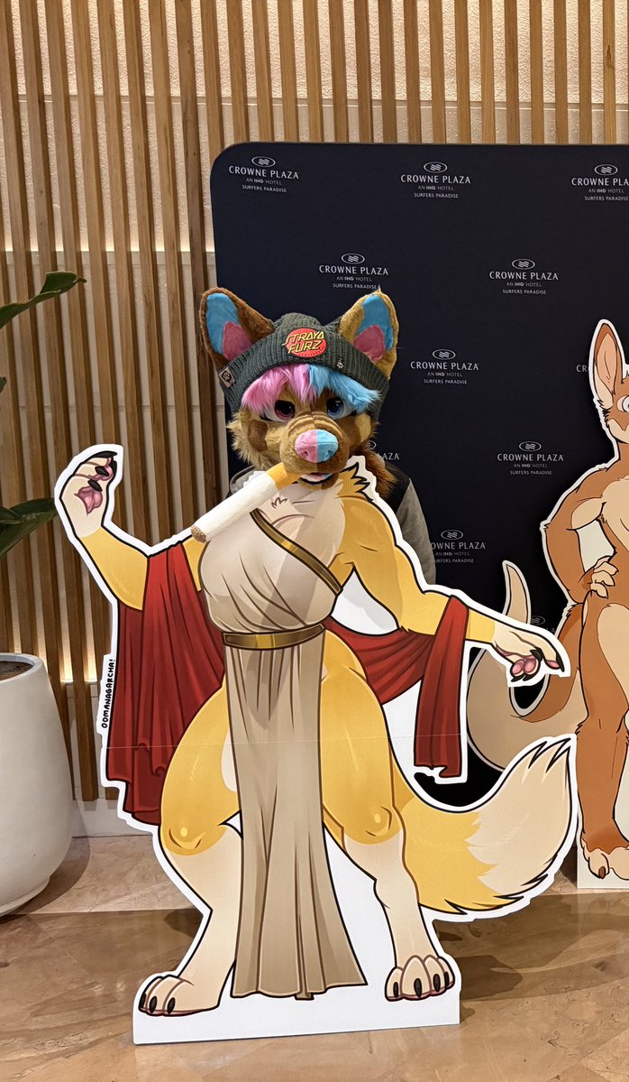 Booma Dingo 🇦🇺🎧🎮 tweet media