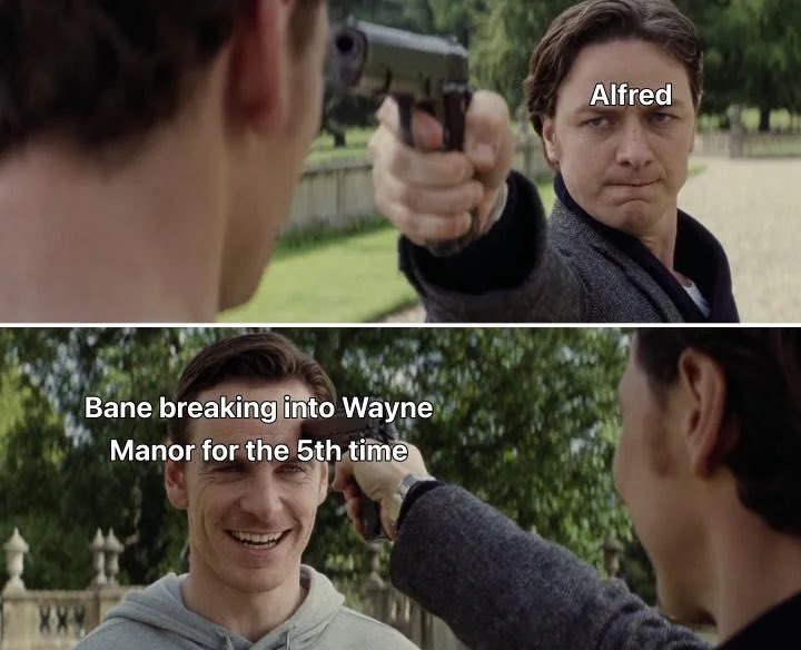 Bat Gallery 🦇 tweet media