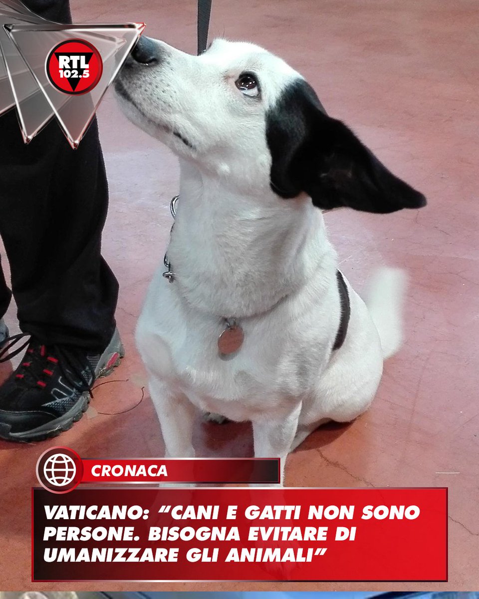 RTL 102.5 tweet media