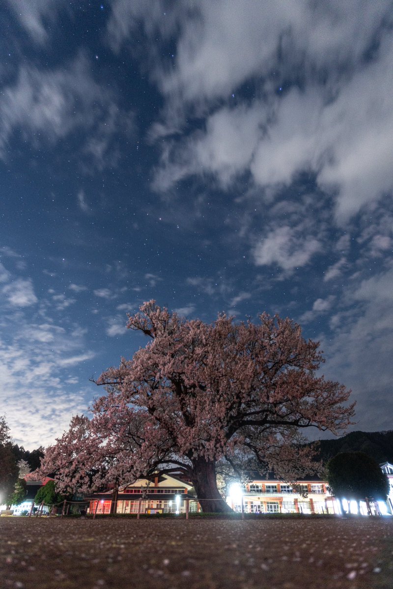 夕御飯 tweet media