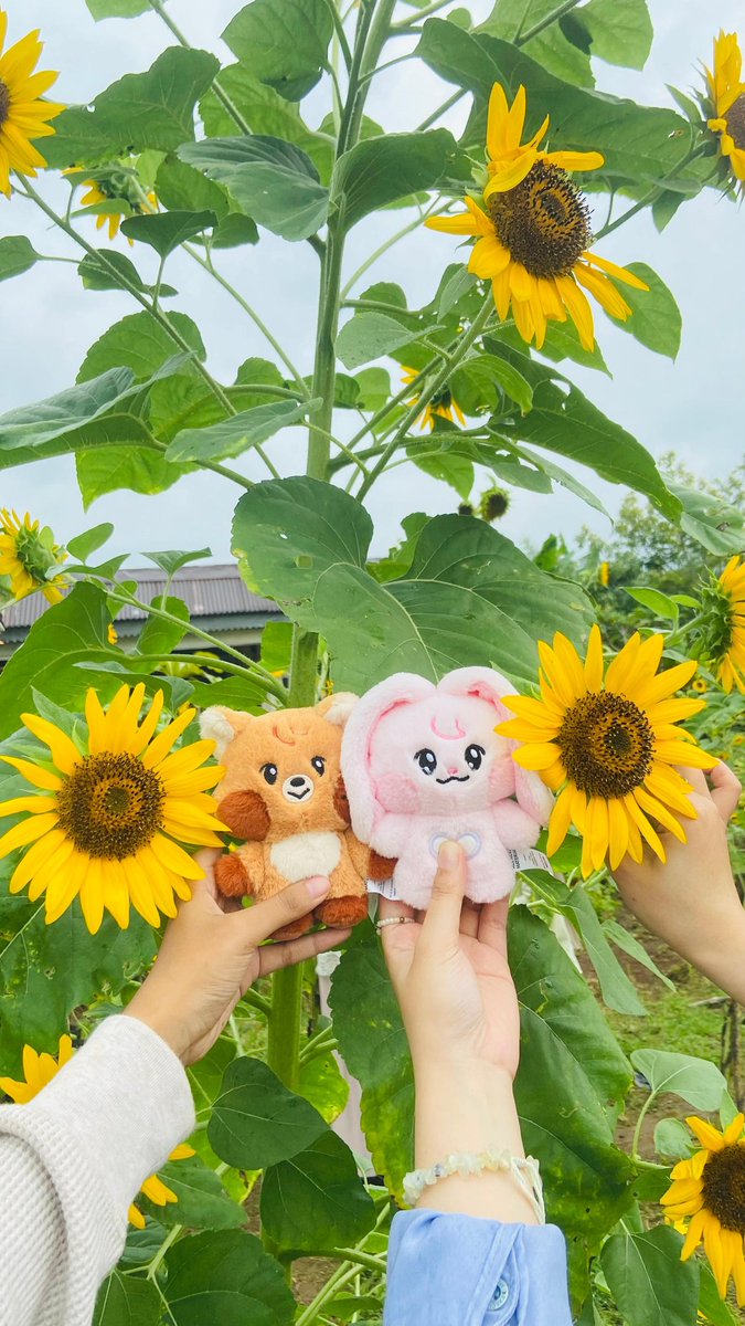 vhdpqj clfemfla tweet media