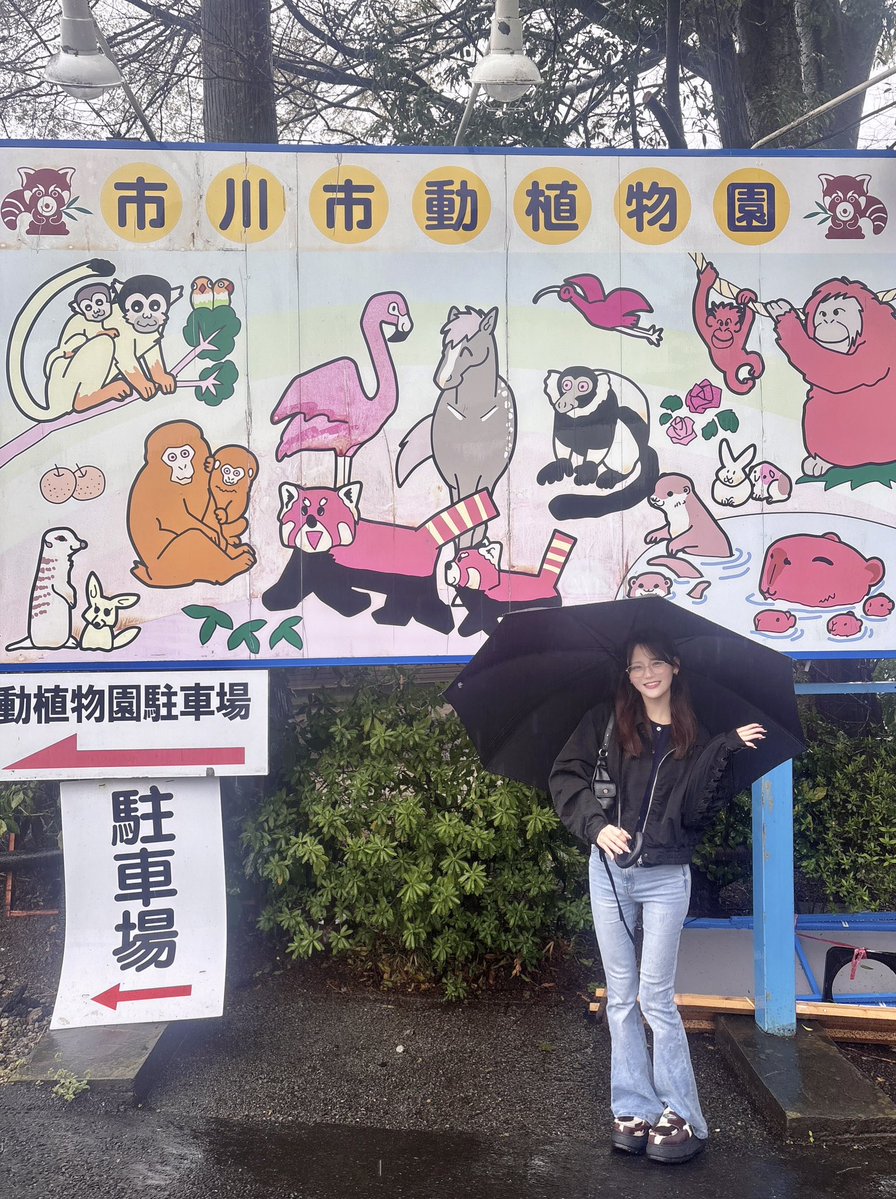 髙松 瞳 tweet media