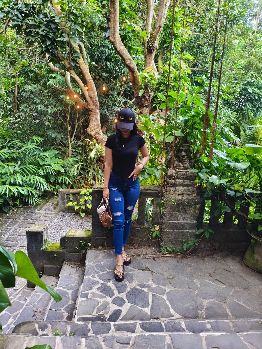 vanelis pass bali tweet media