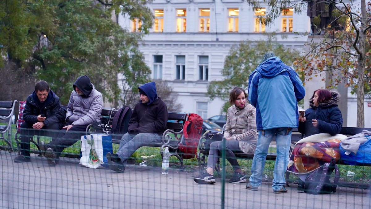 Tomáš Navrátil tweet media