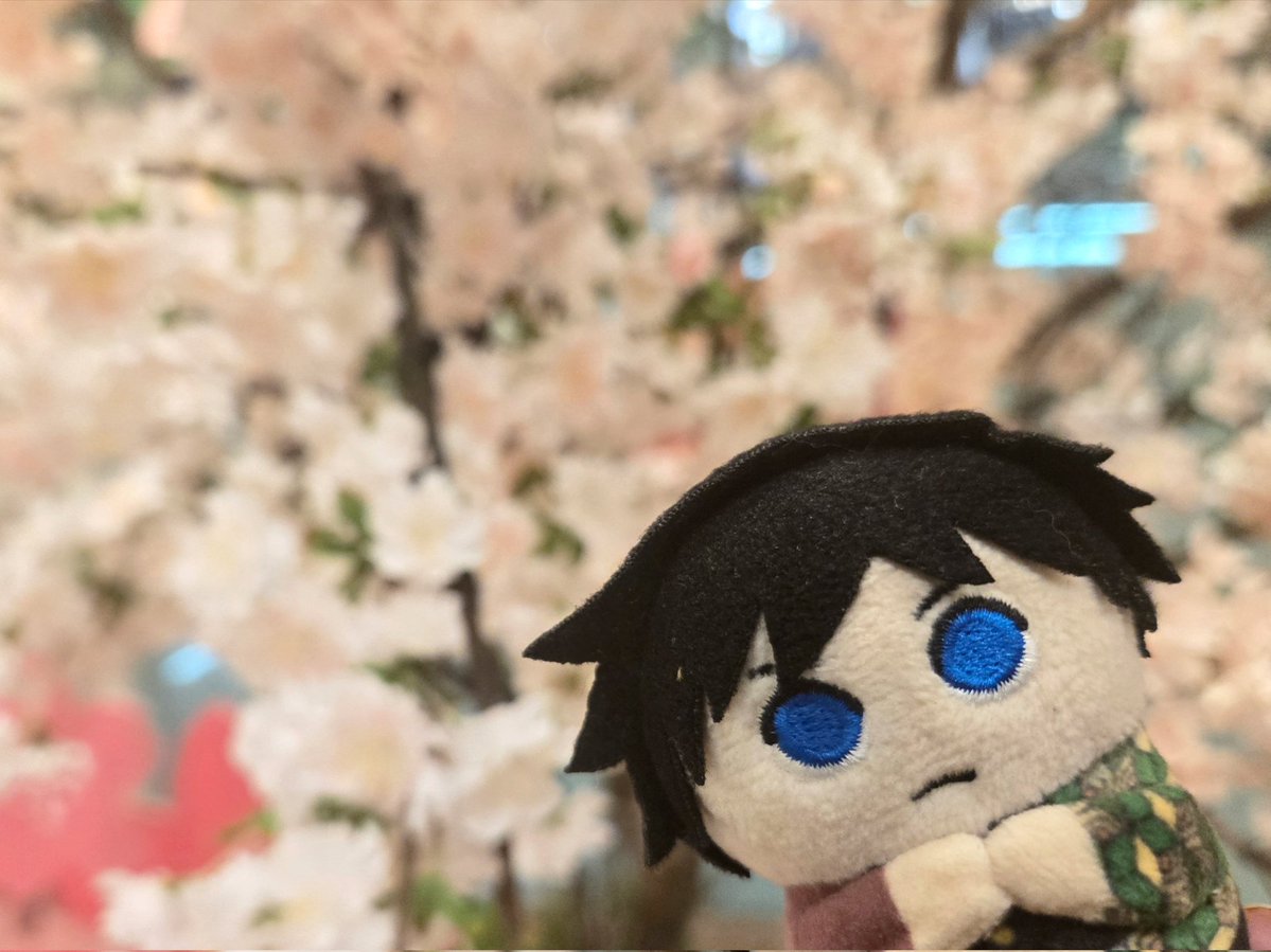 Alice👑趣味垢 tweet media