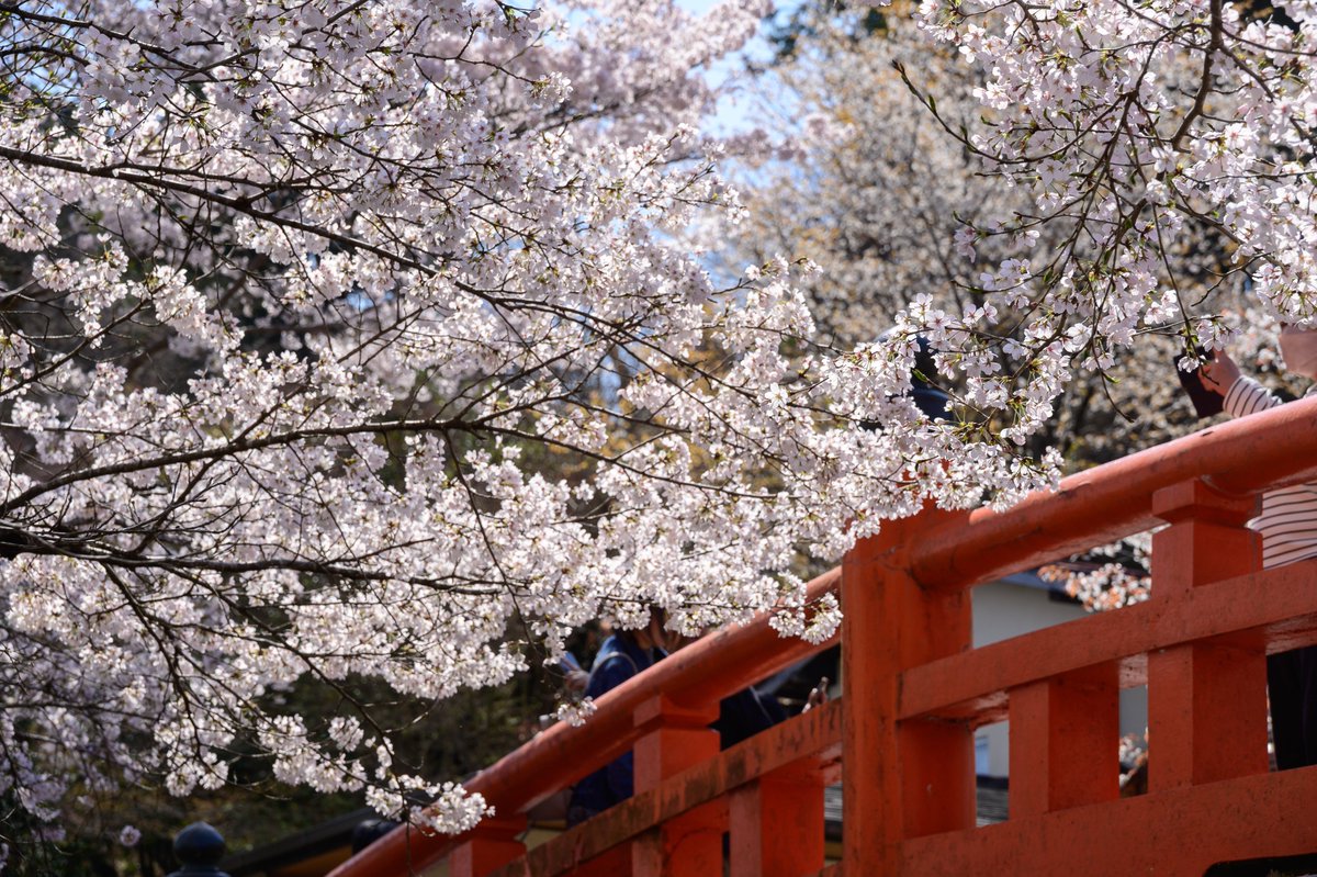 へんてこ tweet media