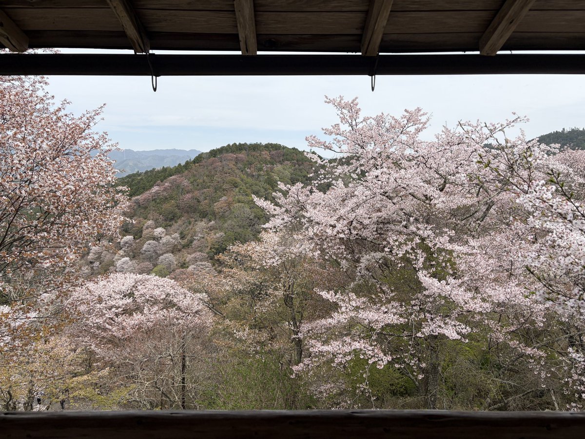 ヨッピー tweet media