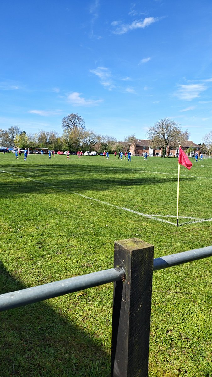 David Perfect tweet media