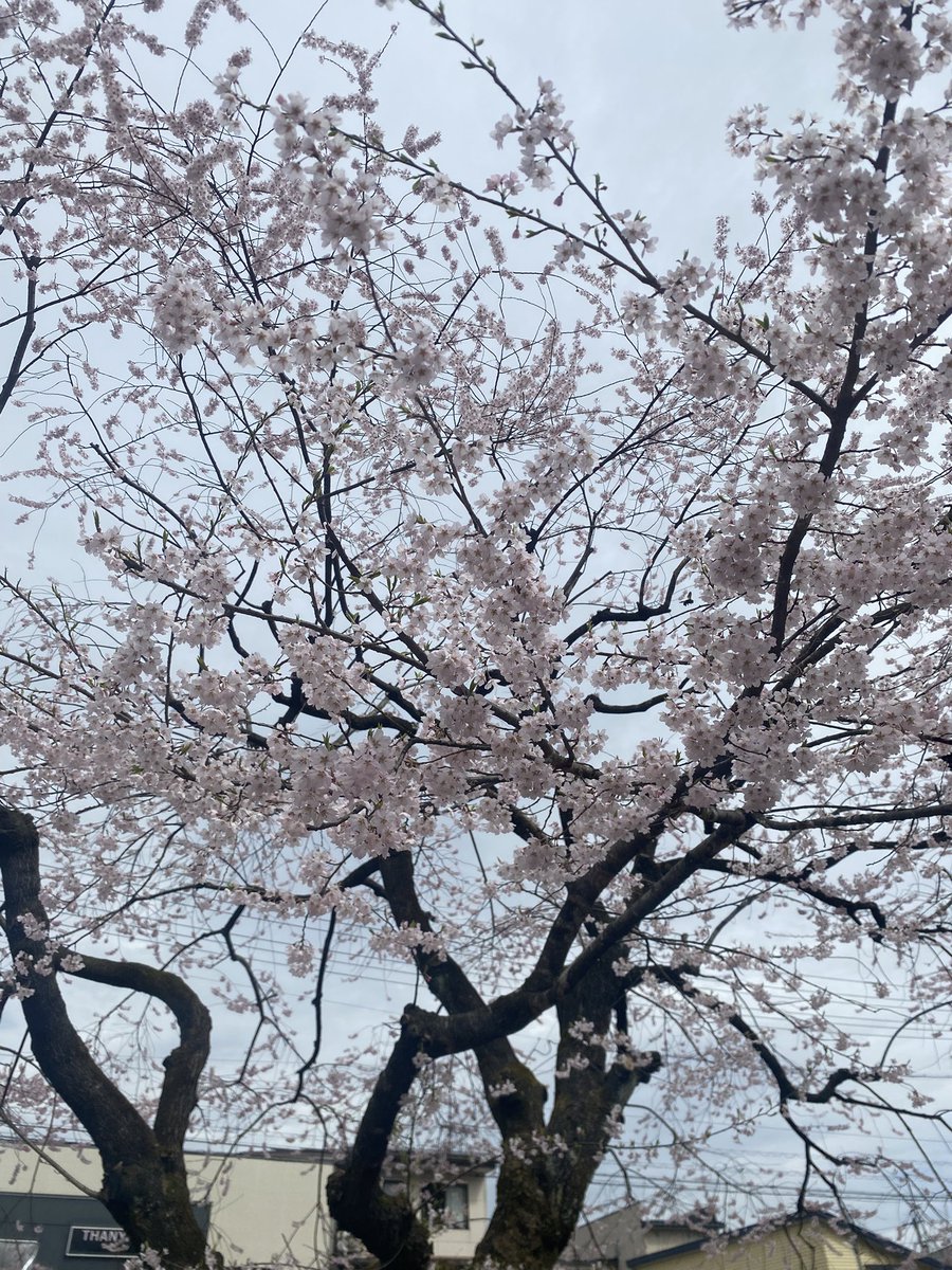 ZeroBewLL tweet media