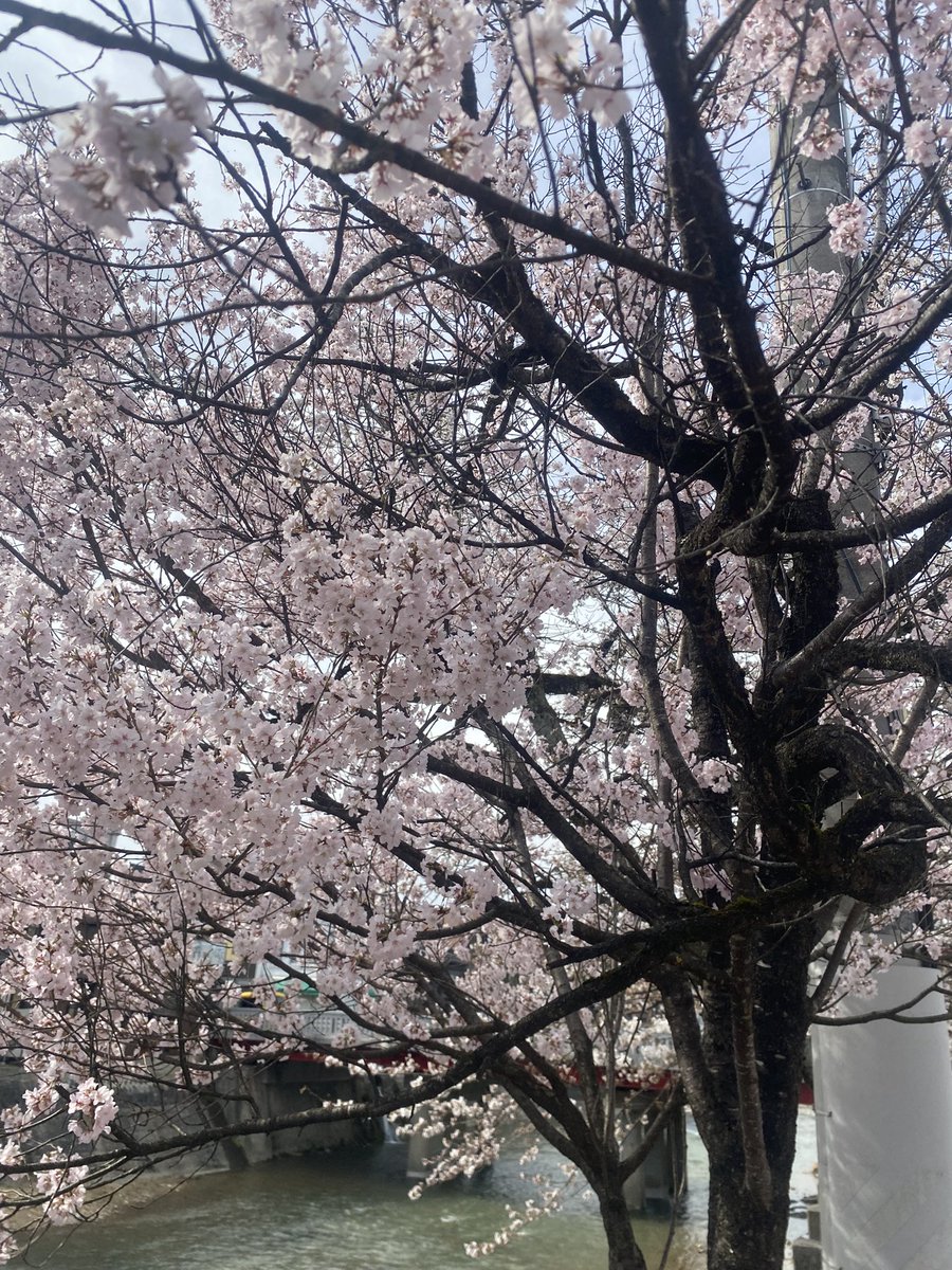 ZeroBewLL tweet media