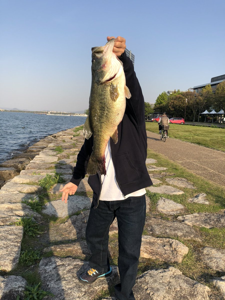 マンダリン tweet media