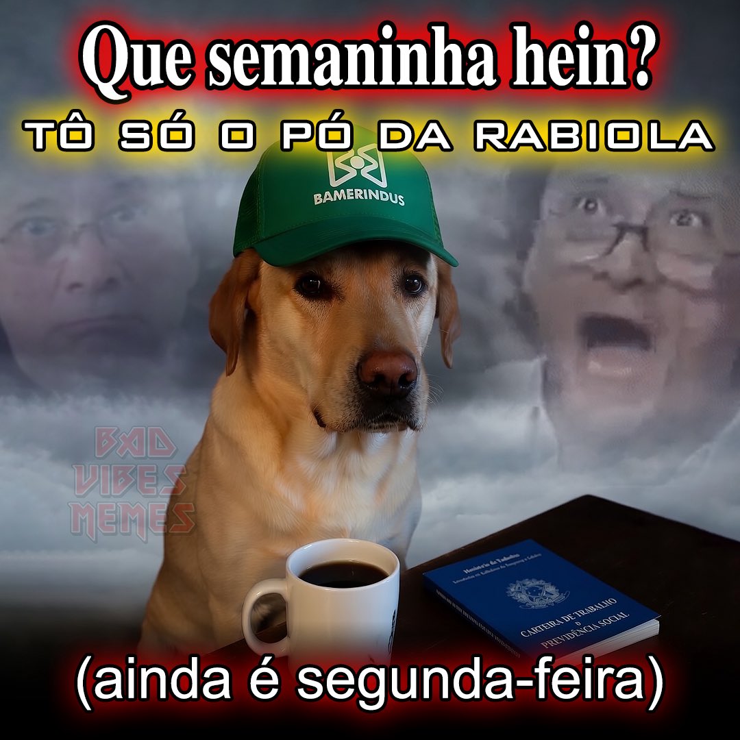 ademir, imperador do badvibestão tweet media