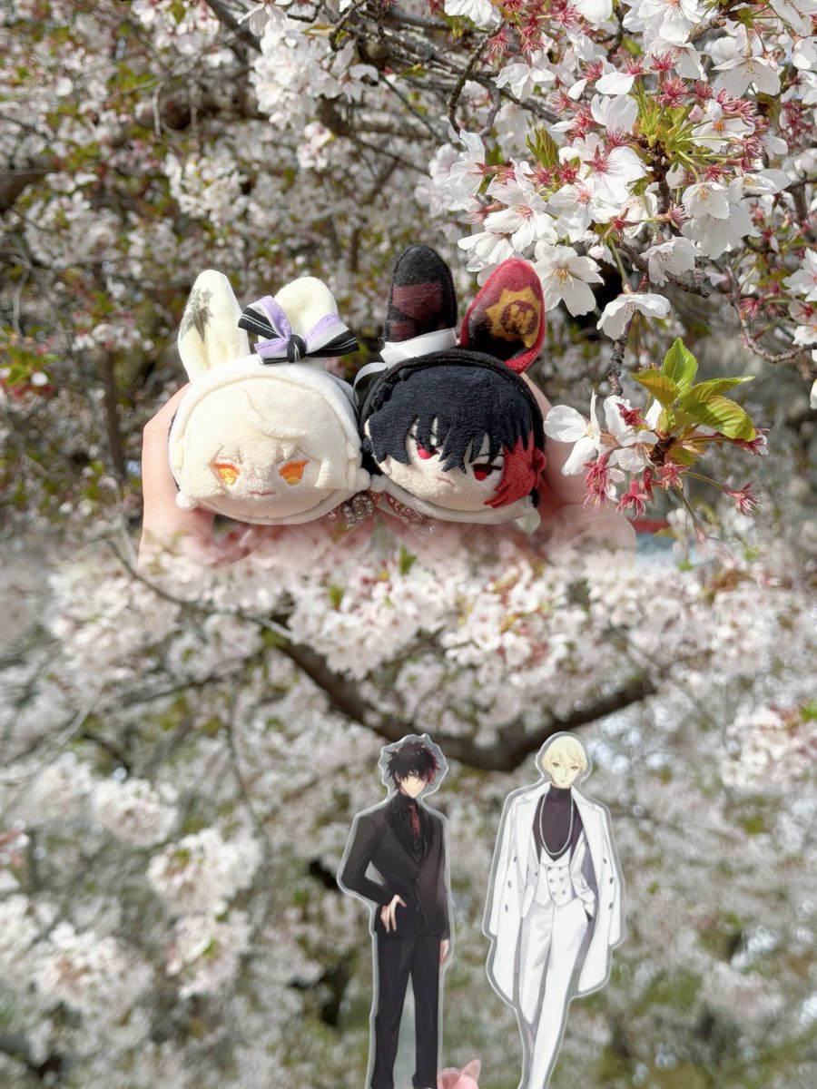 aimy1017's tweet photo. 昨日.ᐟ.ᐟ

雨で散ってたから桜感薄かった…😿 https://t.co/922XFD2NW8