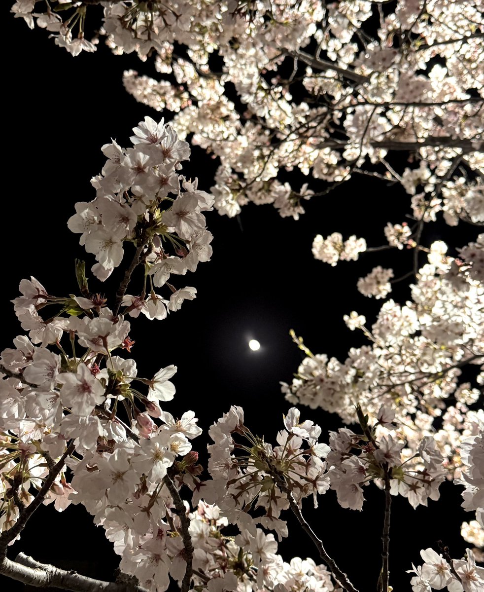 IZSEy9iy1UtXdVb's tweet image. こんばんは🌙
いつもありがとうございます
今日から新学期✨
ドキドキのクラス替えに
担任の先生発表…

長男は早速
連絡帳を忘れて帰宅😓

13日まで給食は無し…
早く昼食作りから
解放されたいです💦

お仕事の方もお休みの方も
1日お疲れ様でした😌
#夕空 #夕日 #ｷﾘﾄﾘｾｶｲ #桜
#飛行機雲 #空