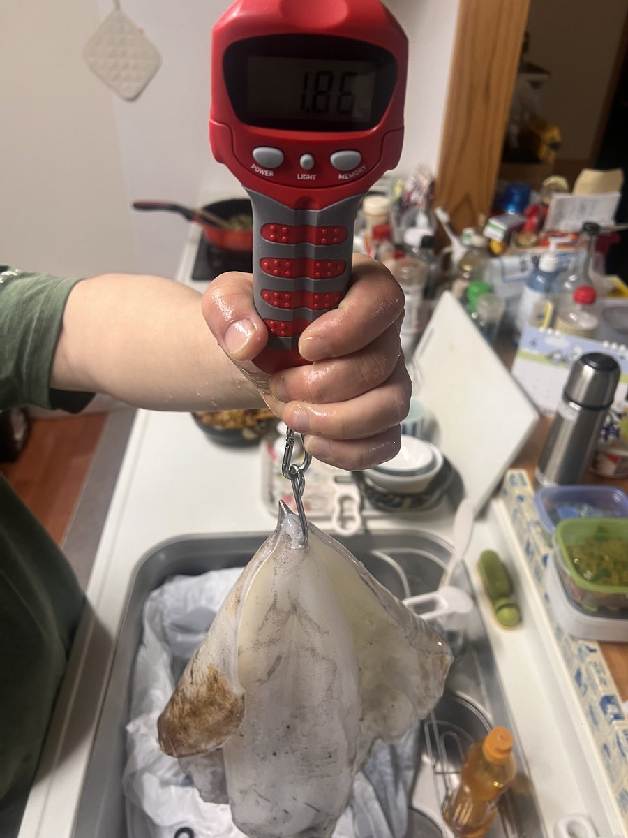 山田 響(ビッキー) / xx_Bikky_xx53 tweet media