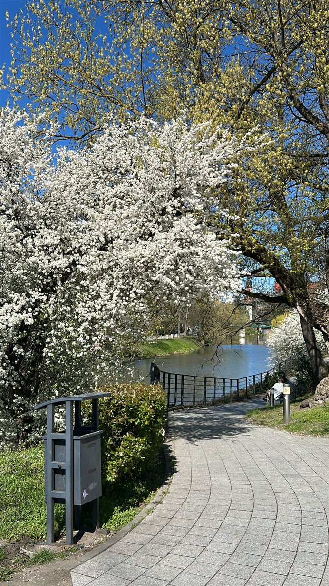 MopsLotta's tweet photo. Wird immer bunter hier 🥰 https://t.co/bQ0cijOkLD