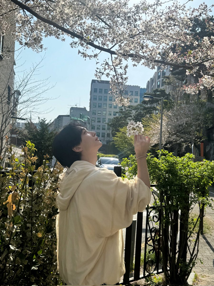 cheonsaries's tweet photo. Jeonghan: "mingyu happy birthday💕
since it's mingoo's birthday, i'll give you my picturess"

Mingyu was having Jeonghan withdrawals last night—he was starting to see him mid dance 😂 so Jeonghan drops pictures of himself for Mingyu's birthday 🌸 https://t.co/6tyj2S7CiF