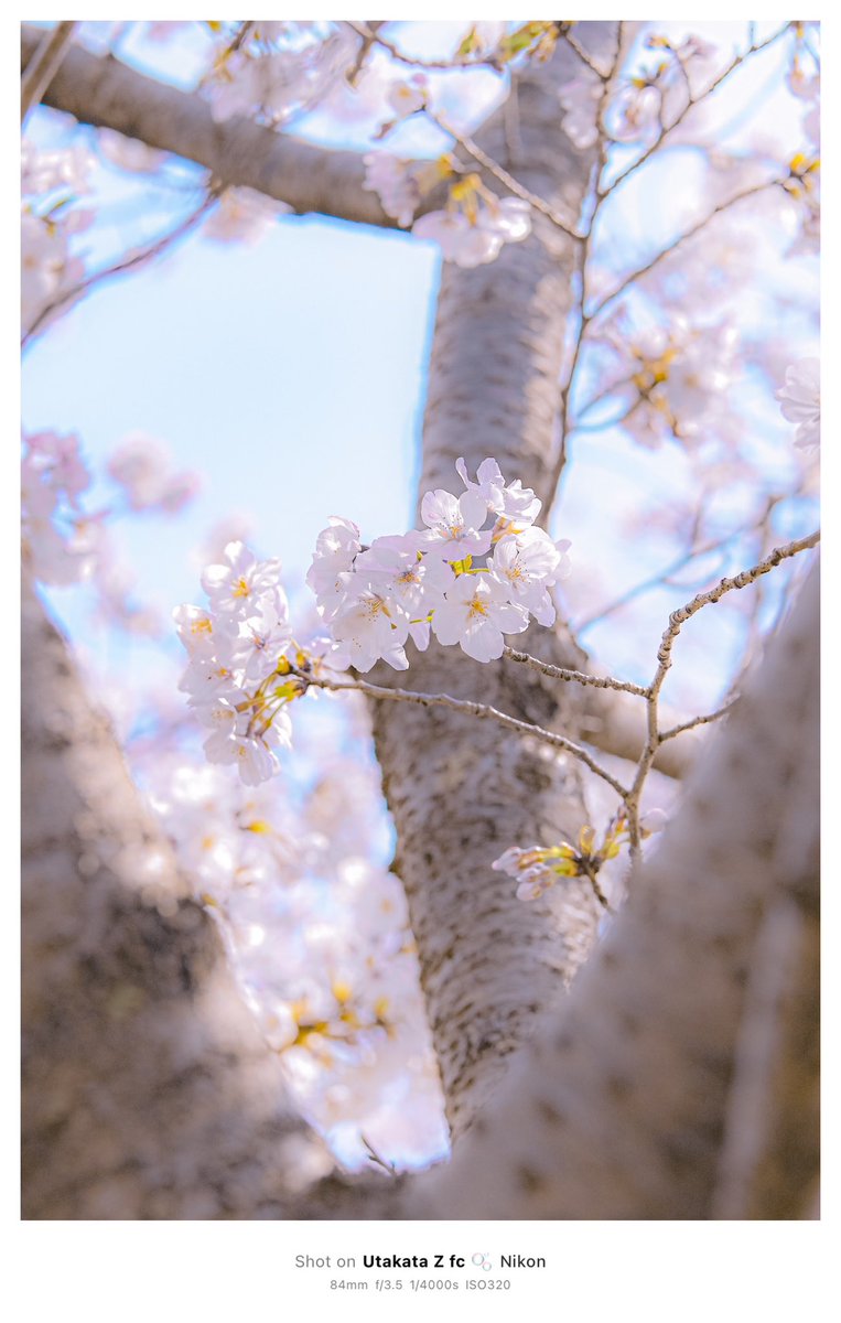 自分の生きる人生を愛したい