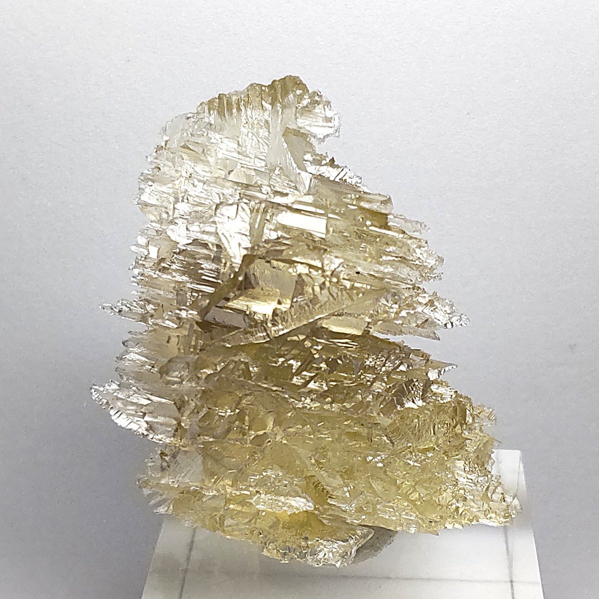 あだちみずは@瓦楽多雑貨店 tweet media