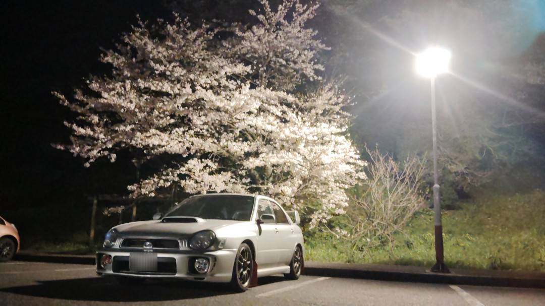 じま(LakeMonster819) tweet media