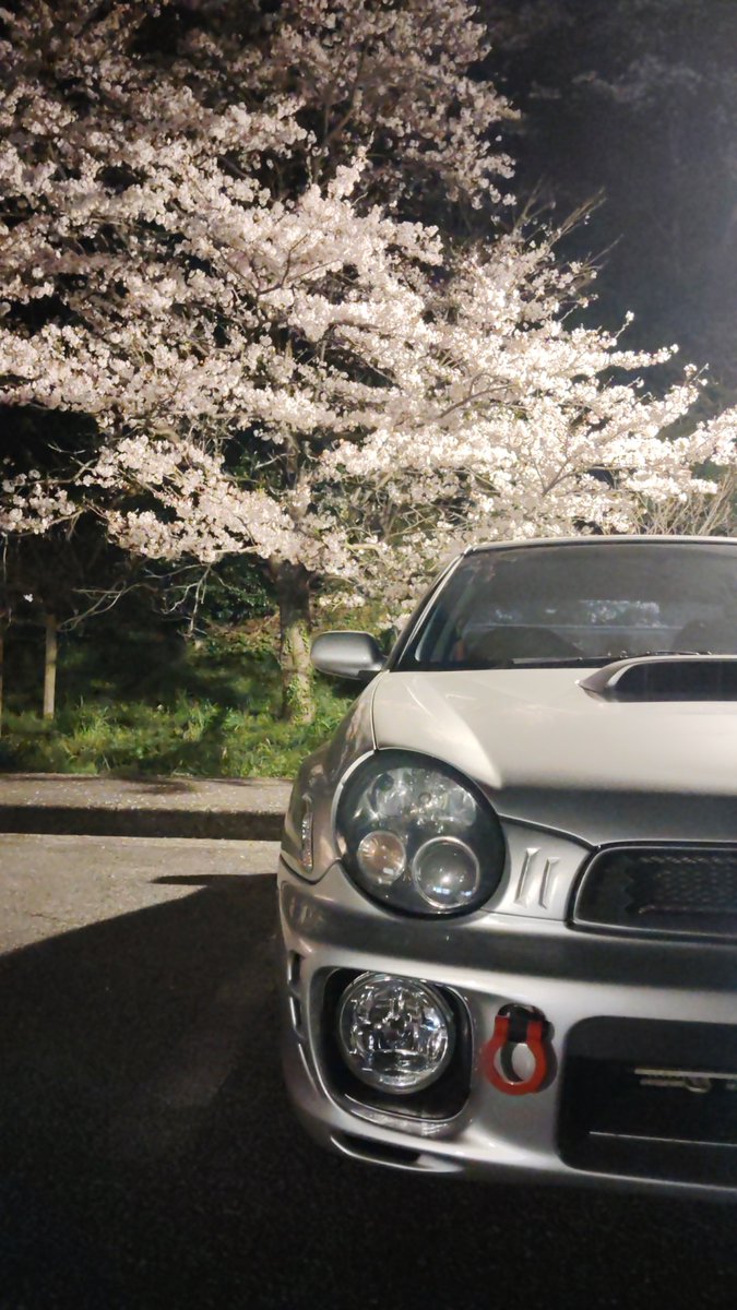 じま(LakeMonster819) tweet media