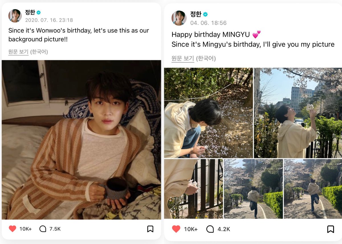 쿱정원 tweet media