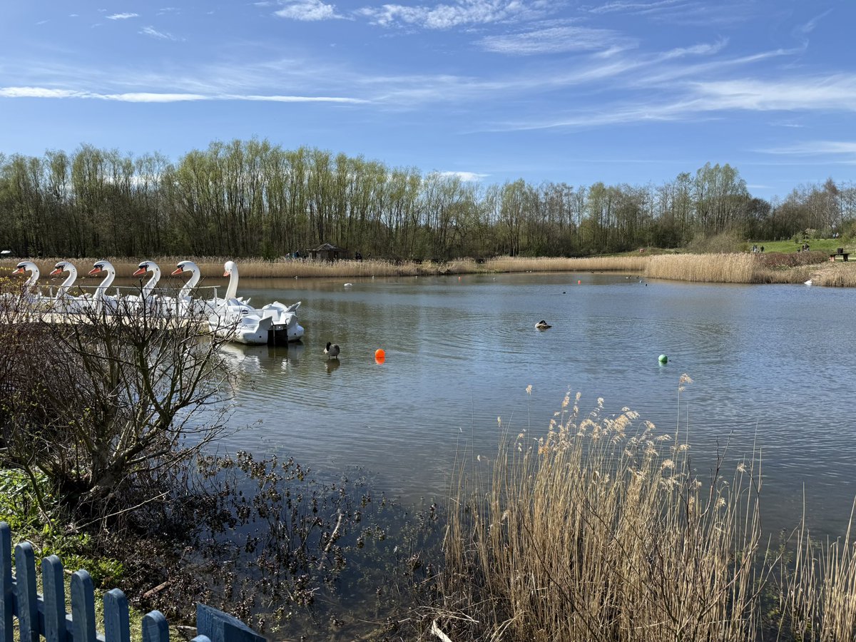 emabob79's tweet image. Not sure what I’ve let myself in for, waaay to many little people #conkers